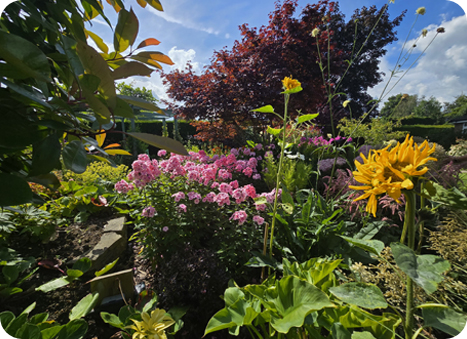 Summerlands | an image of the view across our botanical gardens, in celebration of the leaders in care awards 2021