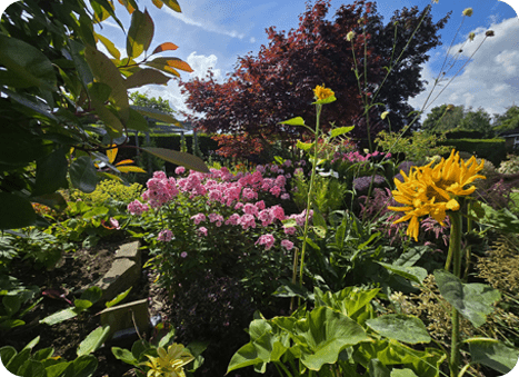 Summerlands | an image of the view across our botanical gardens, in celebration of the leaders in care awards 2021